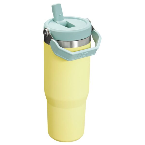Diseno-sin-titulo-2-1 STANLEY FLIP STRAW TUMBLER | 887 ML